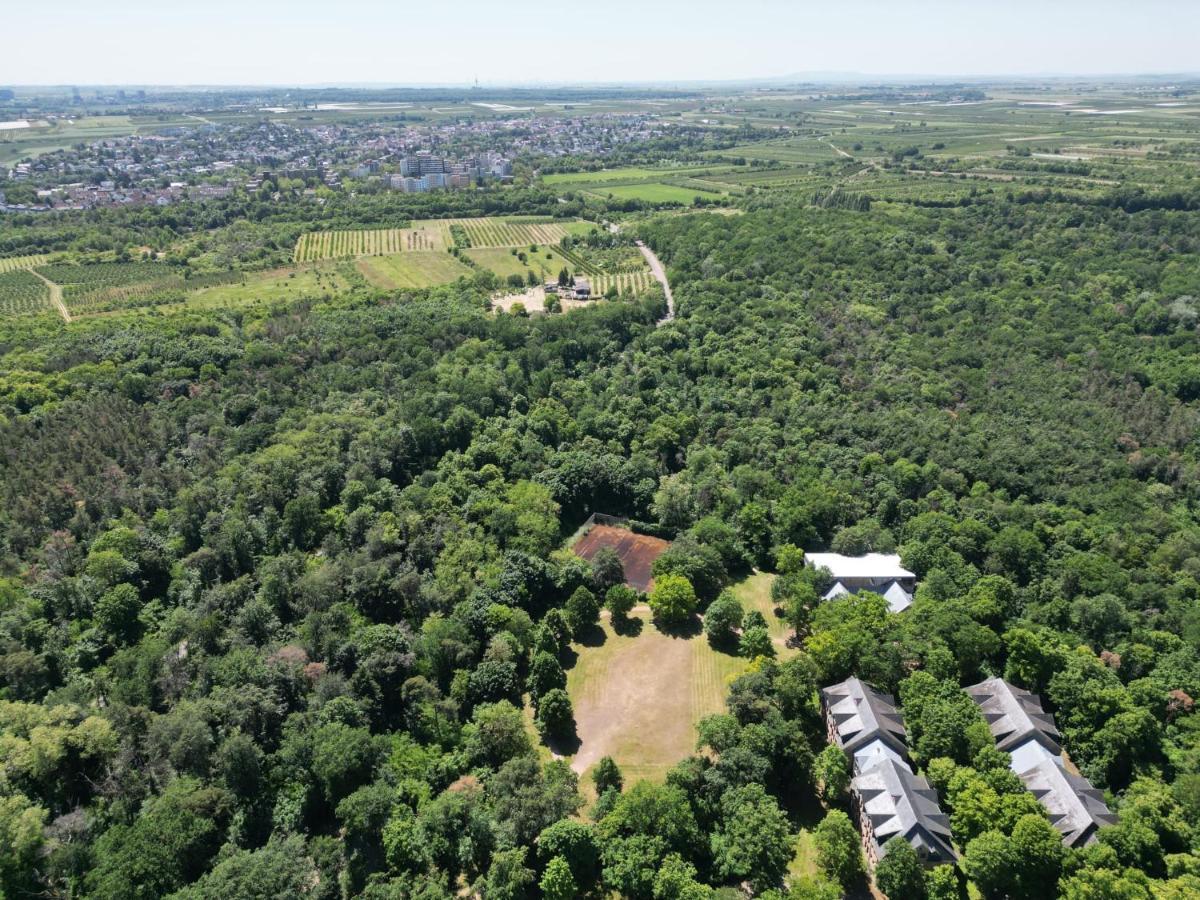 Ferienhaus Budenheim Appartamento Budenheim