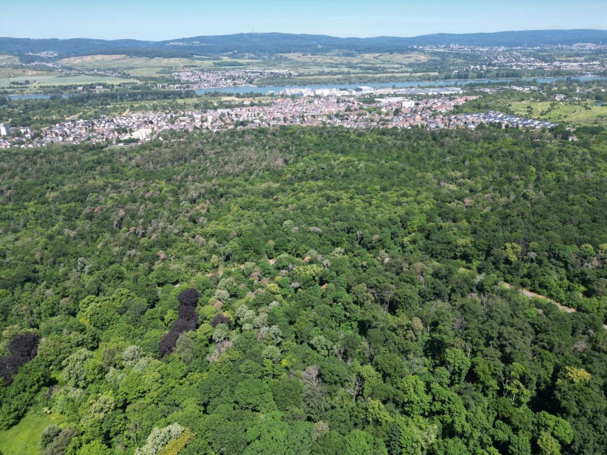 Apartment Ferienhaus Budenheim Budenheim